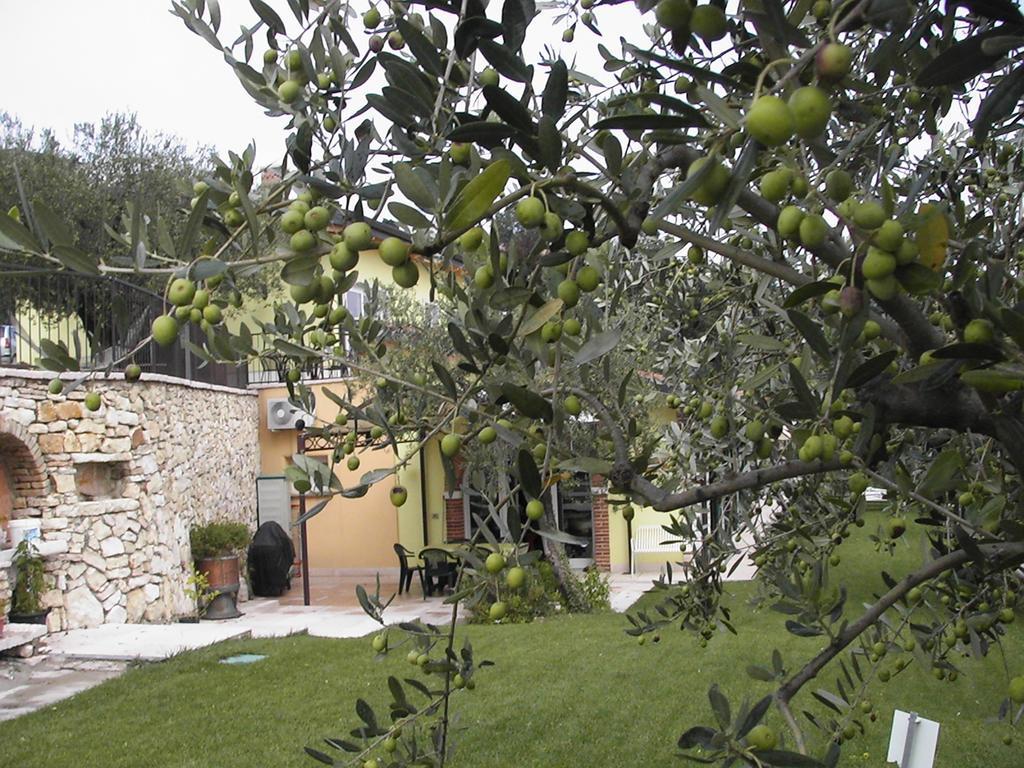 B&B Al Cristo SantʼAmbrogio di Valpolicella Exterior foto
